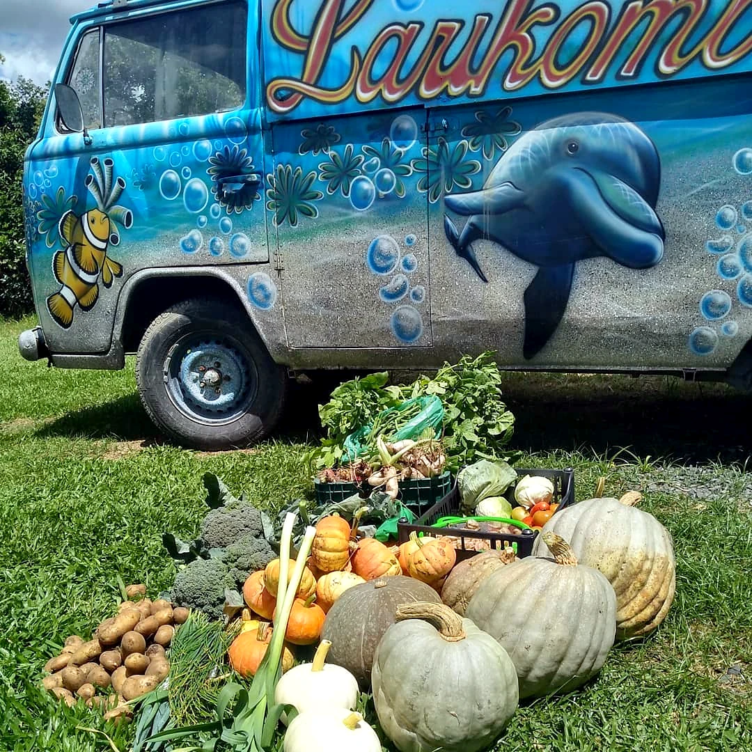 A Larikombi, a kombi pintada com golfinho e peixe-palhaço, ao lado de legumes e abóboras da colheita