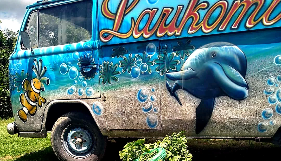 A Larikombi, a kombi pintada com golfinho e peixe-palhaço