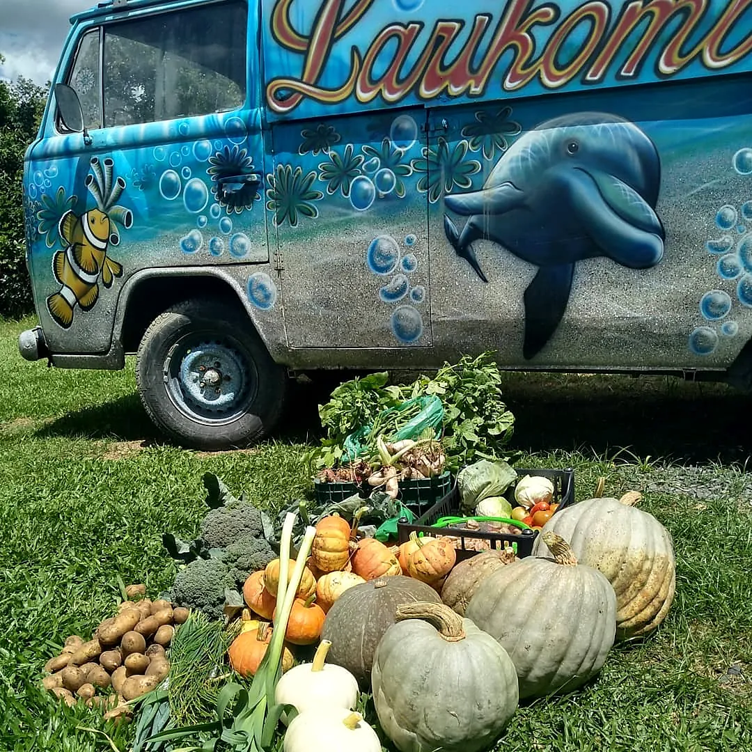 A Larikombi, kombi pintada com um golfinho, ao lado de legumes frescos